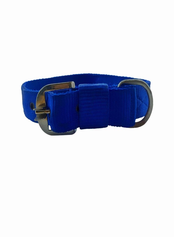 DIY Crafts Pack of 2 Pcs, Blue, Adjustable Dog Harness Body(Pack of 2 Pcs, Blue) - Image 2